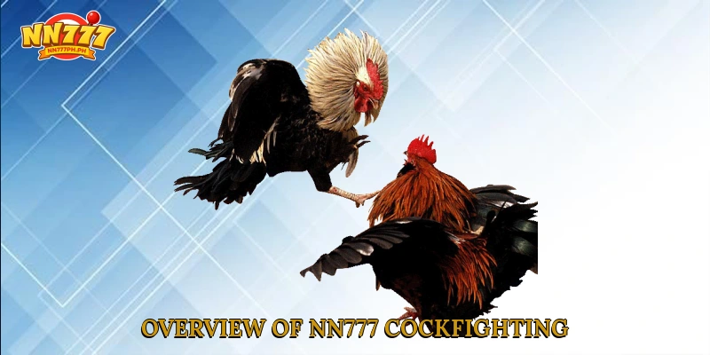 Overview of NN777 cockfighting