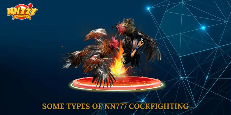 Some types of NN777 cockfighting