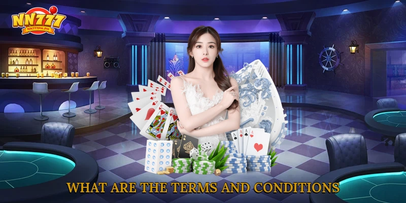 What are the Terms and Conditions?