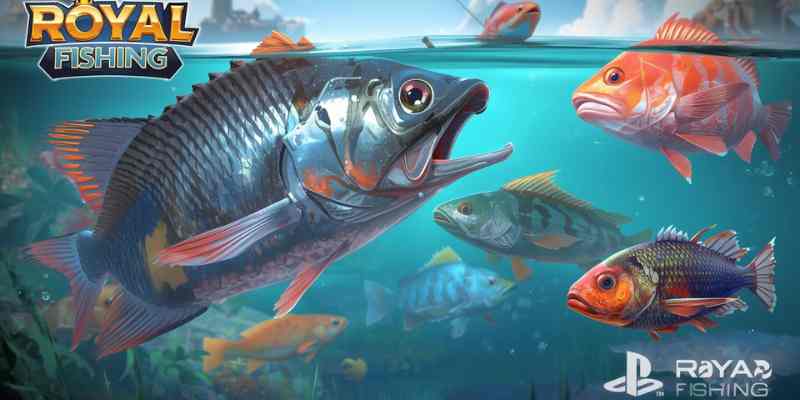 Several factors contribute to the long-term success of Royar Fishing in the online gaming market